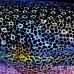 squid_reef_bigfin_gb_h_0002_alo5144_crop.jpg